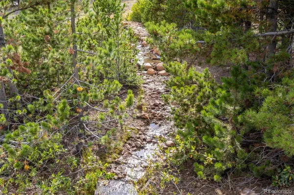 Beaver RD, Idaho Springs, CO 80452