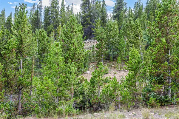 Aspen RD, Idaho Springs, CO 80452