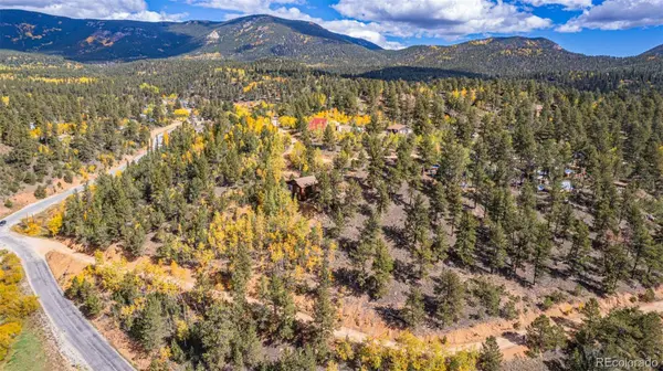 103 Gross RD, Bailey, CO 80421