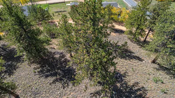 103 Gross RD, Bailey, CO 80421