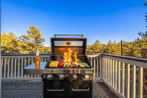 730 Bendemeer DR, Evergreen, CO 80439