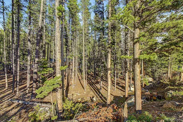 Elk RD, Idaho Springs, CO 80452