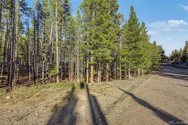Elk RD, Idaho Springs, CO 80452