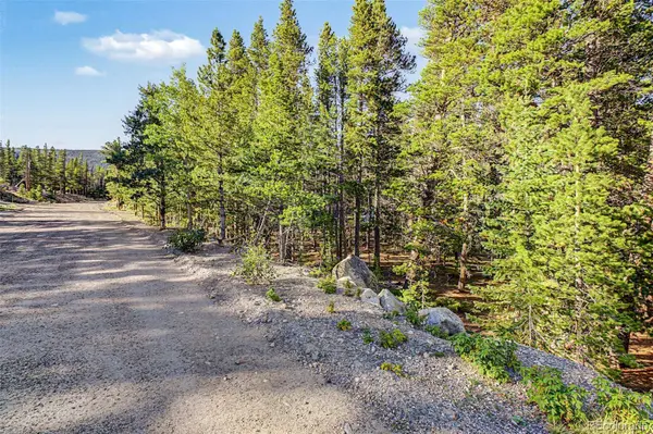 Elk RD, Idaho Springs, CO 80452