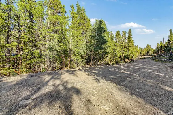 Elk RD, Idaho Springs, CO 80452