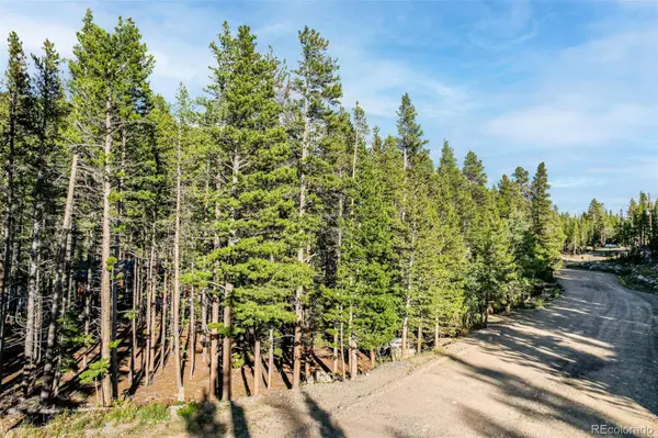 Elk RD, Idaho Springs, CO 80452