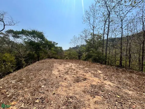 Large River Lot / Camaronal, Hojancha,