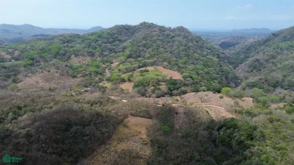 3 Hectare Lot / Samara, Nicoya, 50205
