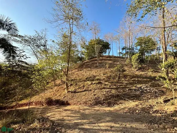 Large River Lot / Camaronal, Hojancha,