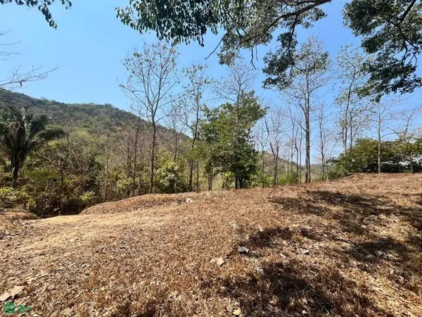 Large River Lot / Camaronal, Hojancha,