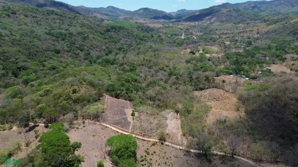 3 Hectare Lot / Samara, Nicoya, 50205