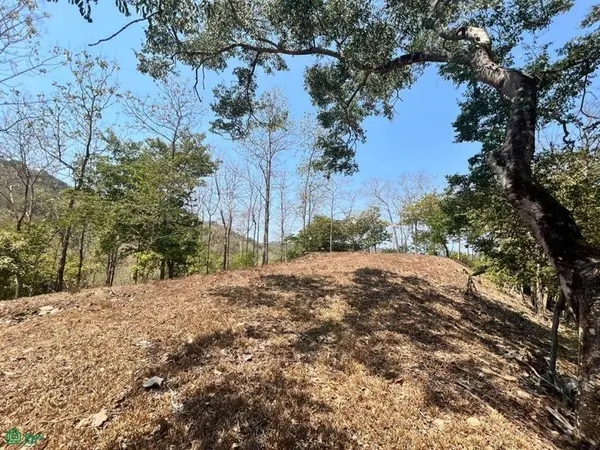 Large River Lot / Camaronal, Hojancha,