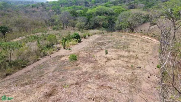 3 Hectare Lot / Samara, Nicoya, 50205