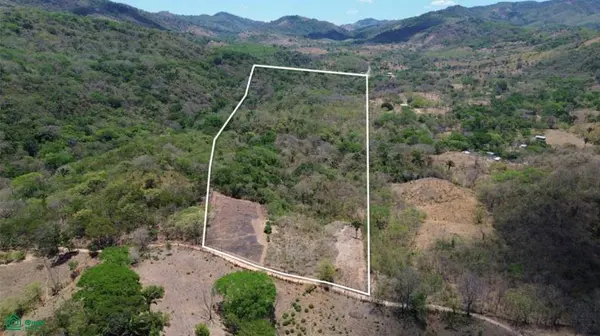 3 Hectare Lot / Samara, Nicoya, 50205