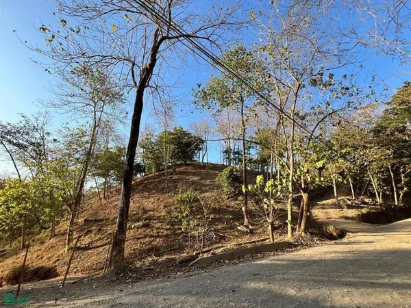 Large River Lot / Camaronal, Hojancha,