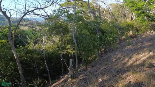 Large River Lot / Camaronal, Hojancha,