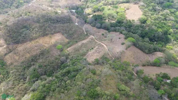 3 Hectare Lot / Samara, Nicoya, 50205