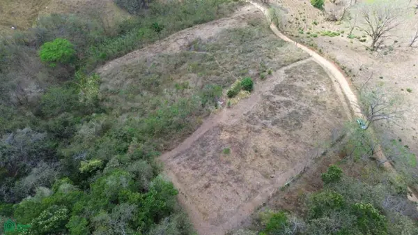 3 Hectare Lot / Samara, Nicoya, 50205