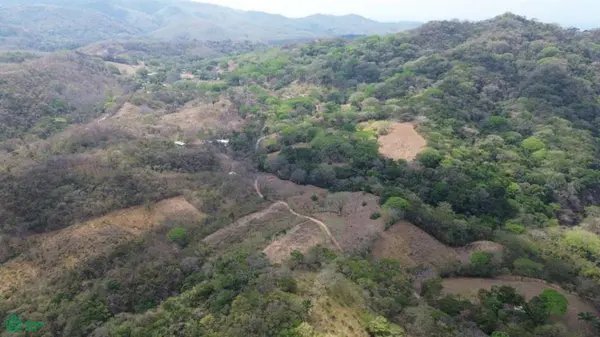 3 Hectare Lot / Samara, Nicoya, 50205