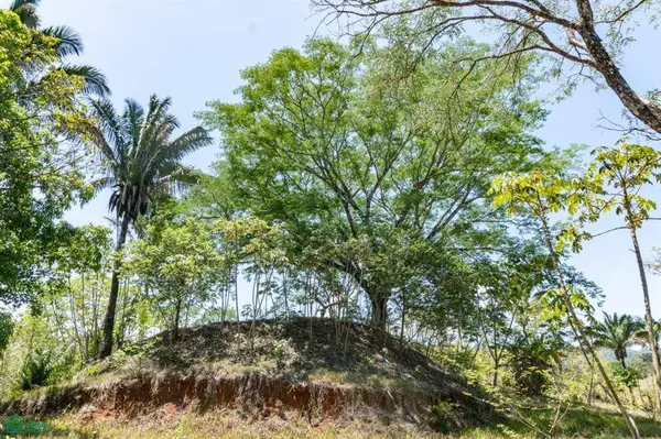 Cuajiniquil Lot / Cuajiniquil, Nicoya, 50206