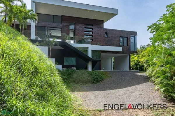 Black Beauty, Ostional, Santa Cruz,