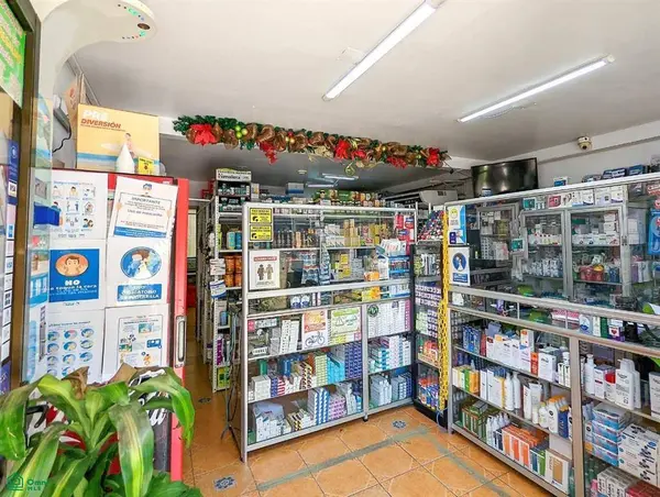 Main Street Mixed Use 4 Plex, Nicoya, 50205