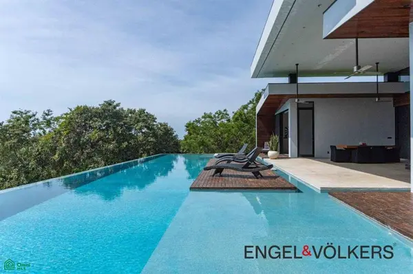 Black Beauty, Ostional, Santa Cruz,