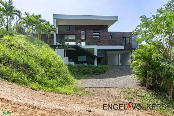 Black Beauty, Ostional, Santa Cruz,