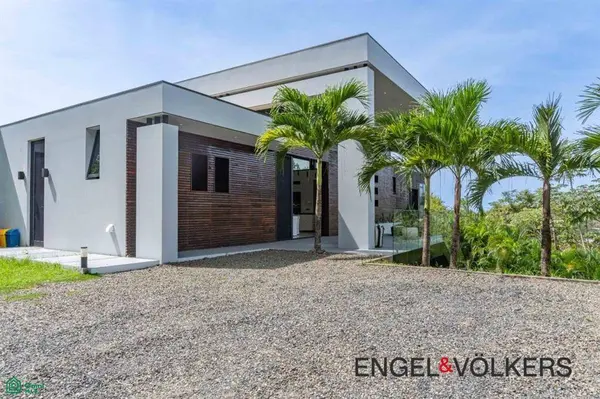 Black Beauty, Ostional, Santa Cruz,