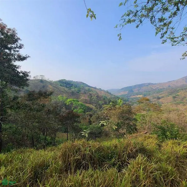 Prestige Finca in Cuesta Grande - 60 Ha / Views, Nicoya, 50207