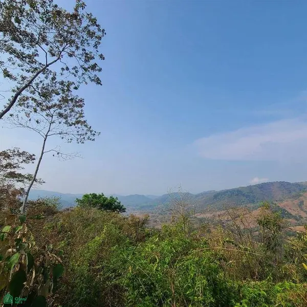 Prestige Finca in Cuesta Grande - 60 Ha / Views, Nicoya, 50207