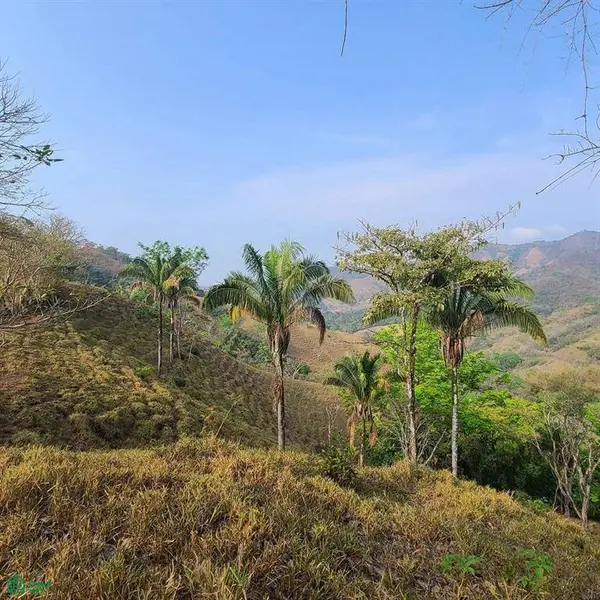 Prestige Finca in Cuesta Grande - 60 Ha / Views, Nicoya, 50207