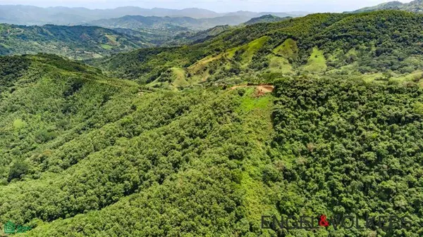 16 ha Ocean View Finca, Maquenco, Nicoya, 50207