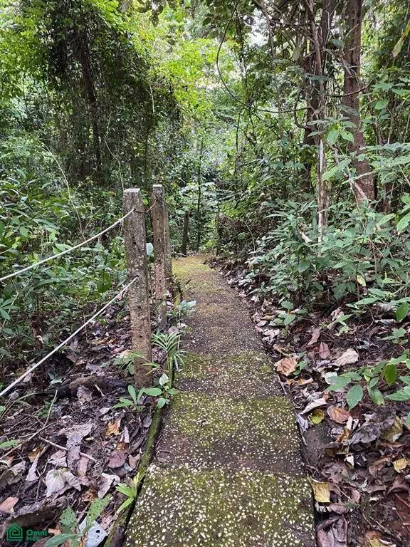 Casa Cascada, Nicoya, 50205