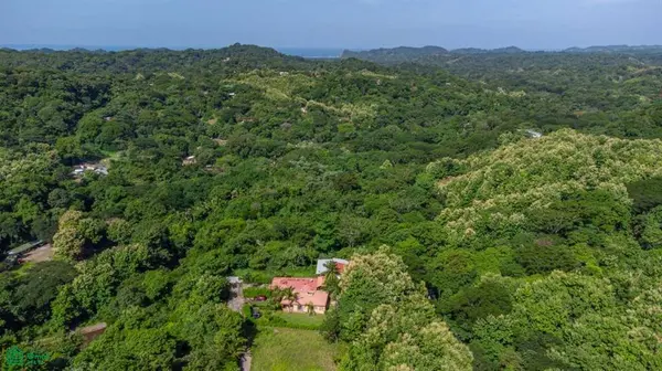 Casa Verde, Nicoya, 50205