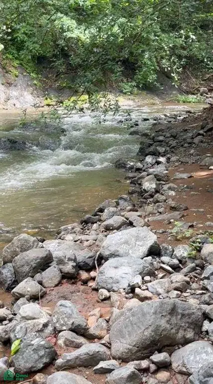 Finca Naranjalito Hills, Nicoya, 50205