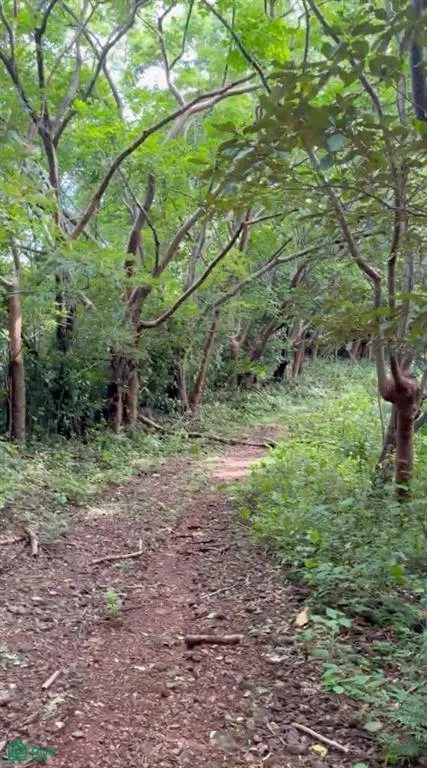 Finca Naranjalito Hills, Nicoya, 50205