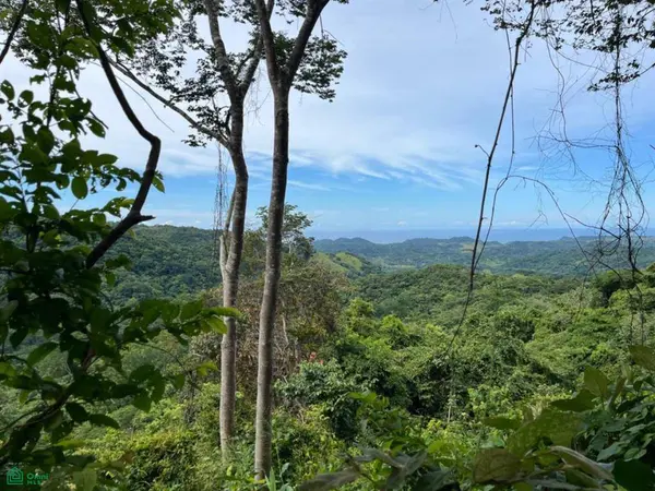 Finca Naranjalito Hills, Nicoya, 50205