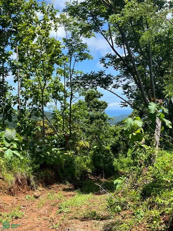 Finca Naranjalito Hills, Nicoya, 50205