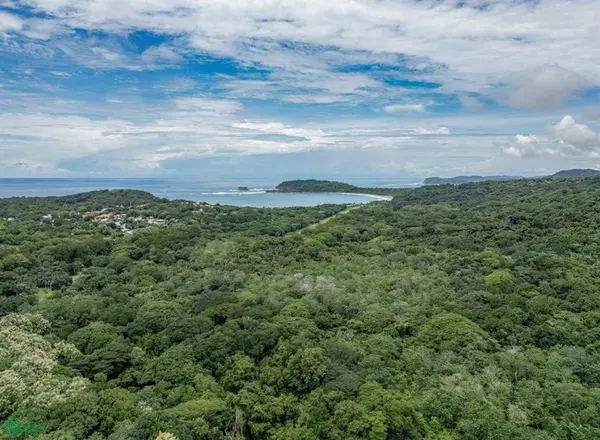 Jungle House, Hojancha,