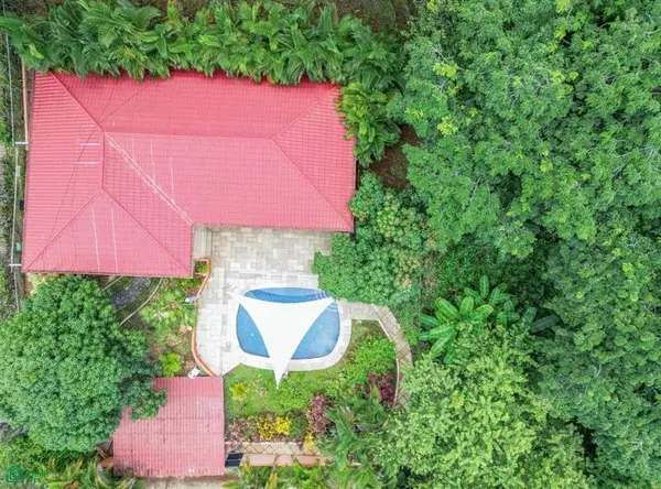 Jungle House, Hojancha,