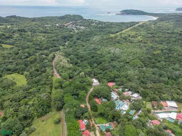 Jungle House, Hojancha,