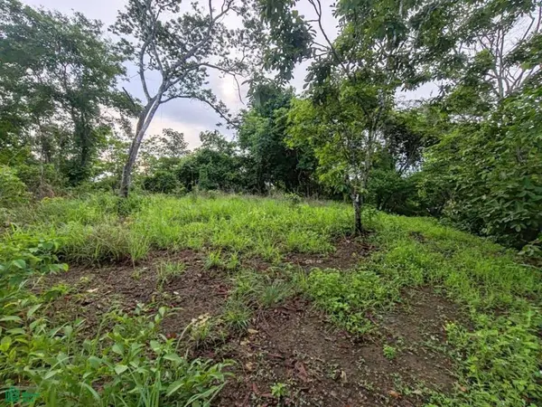 Finca Nandayure,