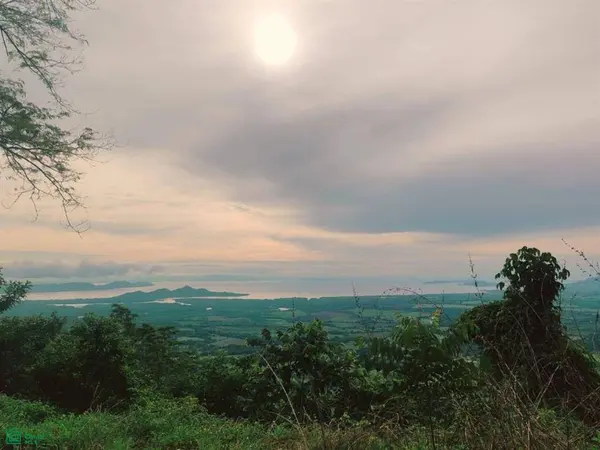 Finca Nandayure,