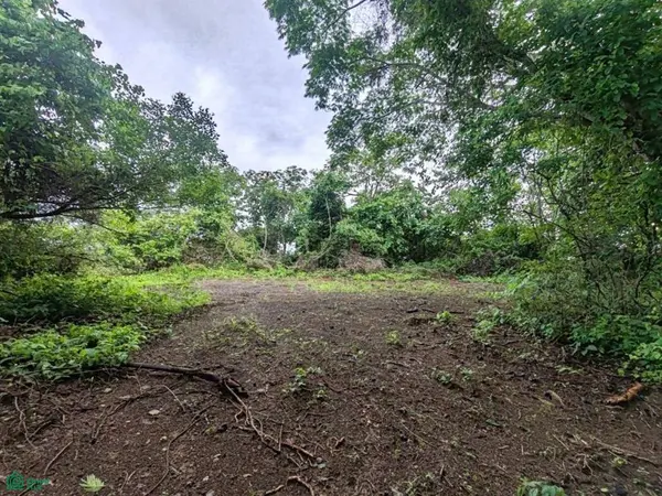 Finca Nandayure,