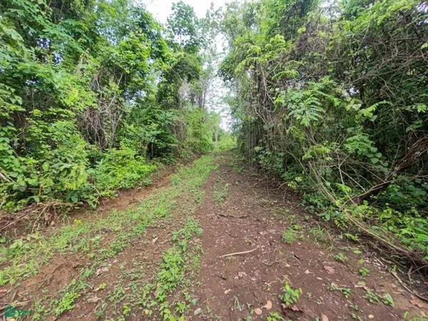 Finca Nandayure,