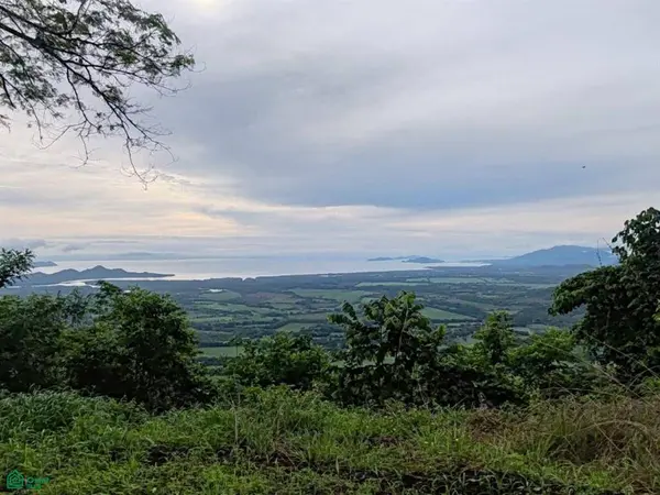 Finca Nandayure,