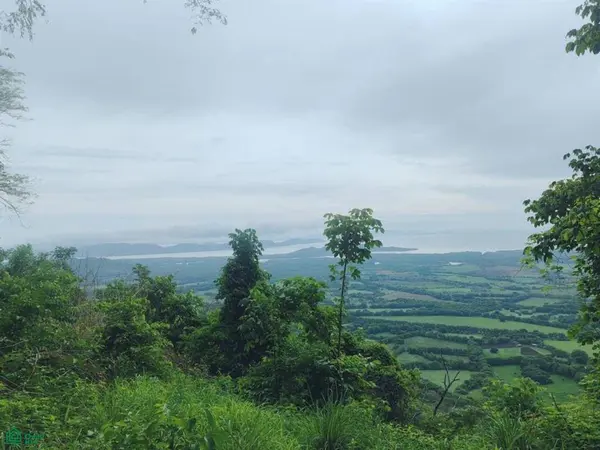 Finca Nandayure,