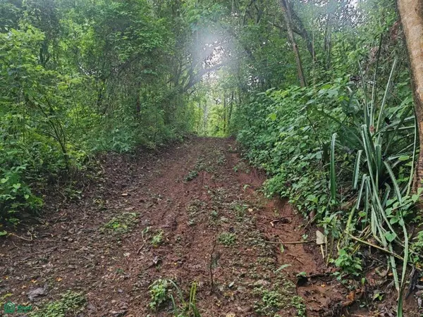 Finca Nandayure,