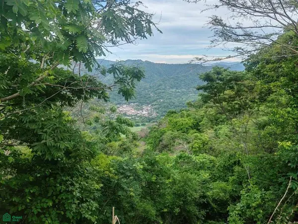 Finca Nandayure,